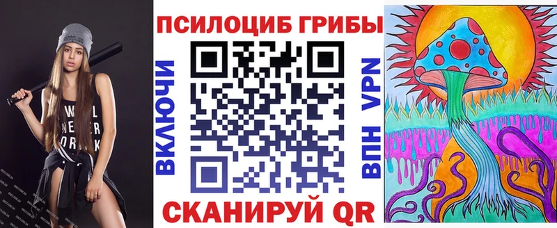 закладка  блэк спрут tor  Галлюциногенные грибы Psilocybe  Тутаев 